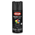 Krylon K05557007 COLORmaxx Spray Paint, Satin Black, 12 oz.