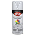 Krylon K05531007 COLORmaxx Spray Paint, Gloss Pewter Gray, 12 oz.