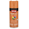Krylon K05532007 COLORmaxx Spray Paint, Gloss Pumpkin Orange, 12 oz.