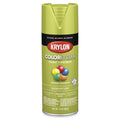 Krylon K05525007 COLORmaxx Spray Paint, Gloss Ivy Leaf, 12 oz.