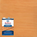 Thompson’s Waterseal TH.091601-16 Transparent Wood Sealer, Natural Cedar, 1 Gallon