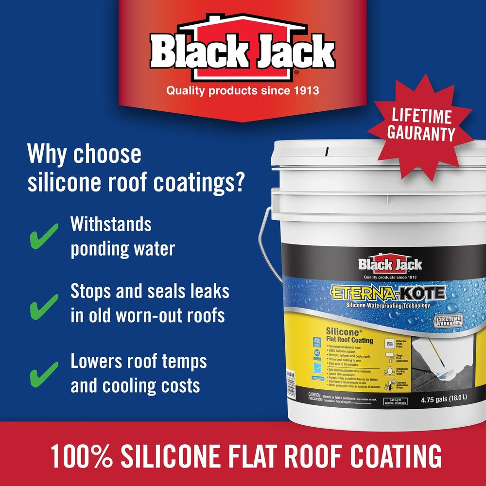 Black Jack Coatings 5576-1-30 Eterna-Kote 100% Silicone Roof Coating, Bright White, 5 Gallons