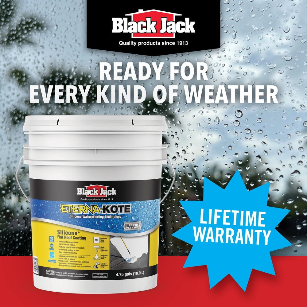Black Jack Coatings 5576-1-30 Eterna-Kote 100% Silicone Roof Coating, Bright White, 5 Gallons