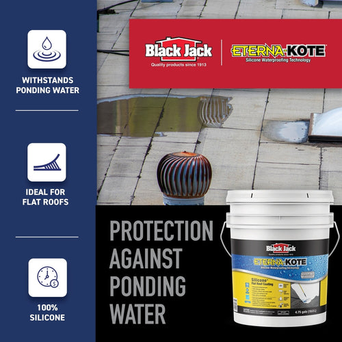 Black Jack Coatings 5576-1-30 Eterna-Kote 100% Silicone Roof Coating, Bright White, 5 Gallons